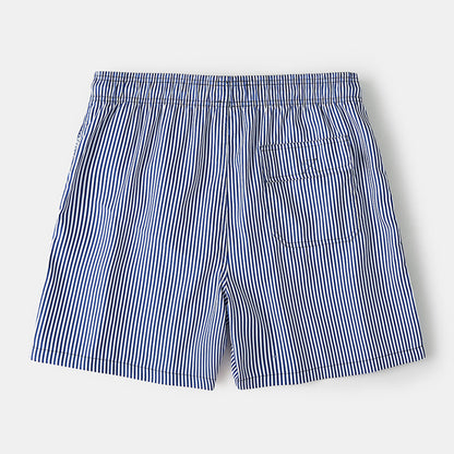 Blue Striped Quick Dry Beach Shorts