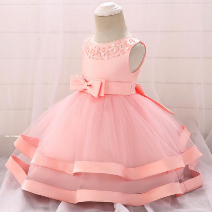 Girls Cozy Embroidery Princess Dress
