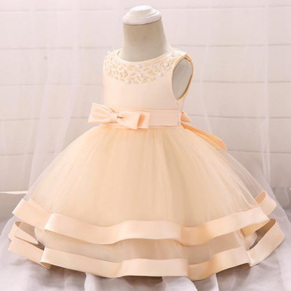 Girls Cozy Embroidery Princess Dress
