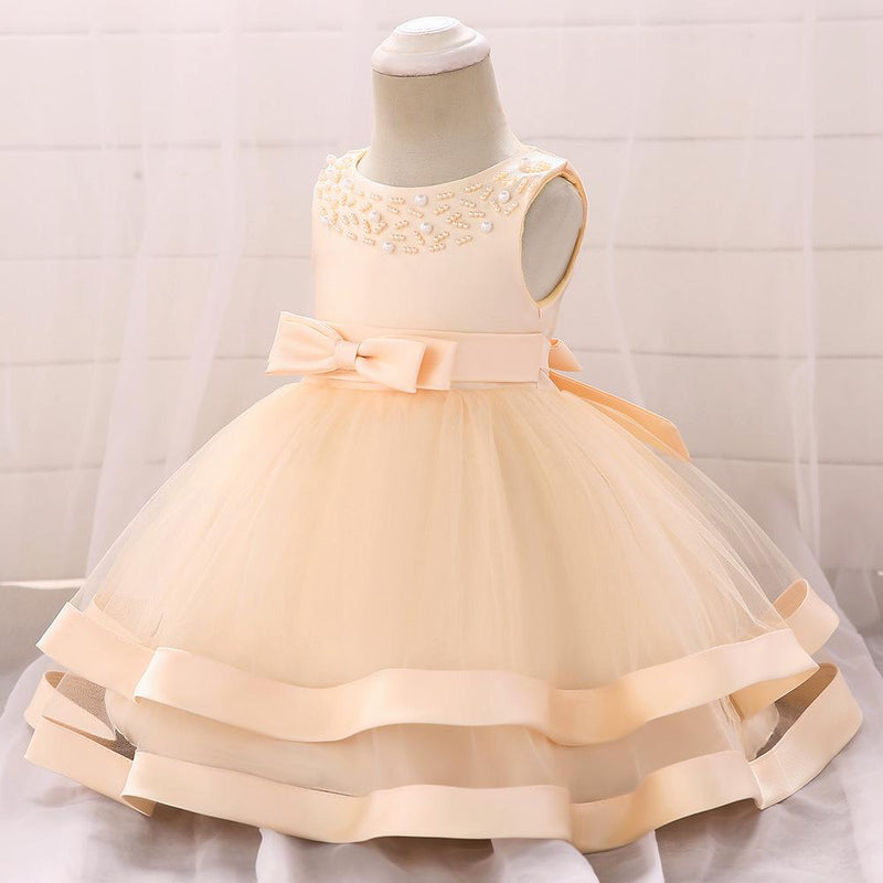 Girls Cozy Embroidery Princess Dress