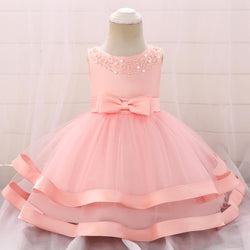 Girls Cozy Embroidery Princess Dress