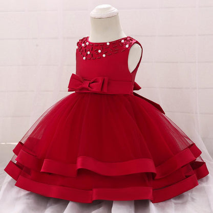 Girls Cozy Embroidery Princess Dress