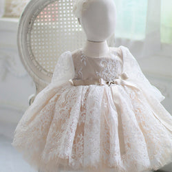 Lace Floral Girl Princess Puffy Dress