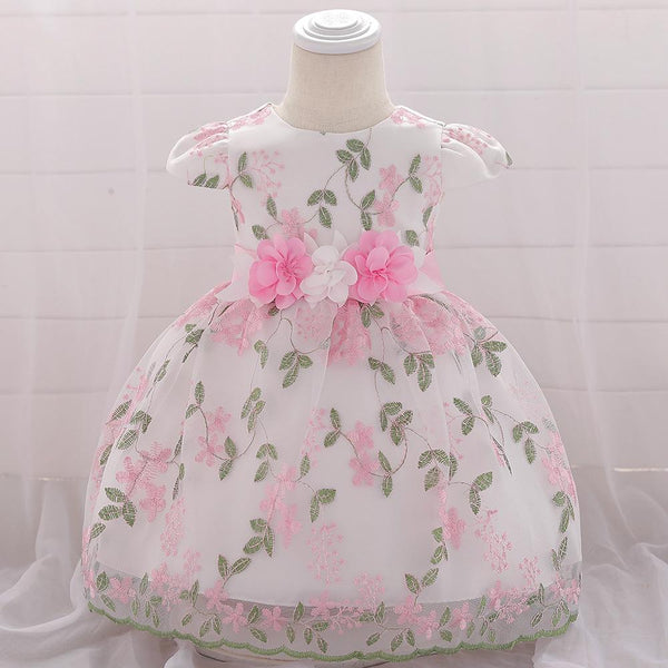 Baby Girls Lace Cozy Embroidery Princess Dress