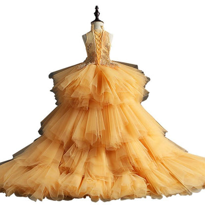 Summer Girls Gorgeous Lace Sleeveless Ball Gown Dress