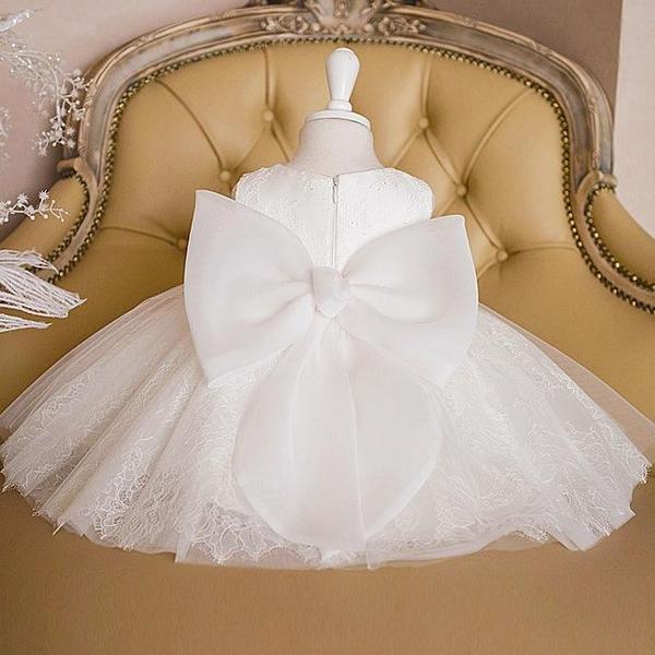 Elegant Embroidery Baby Flower Girl Fluffy Dress