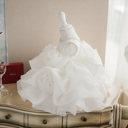 Elegant Flower Girl Princess Fluffy Dress