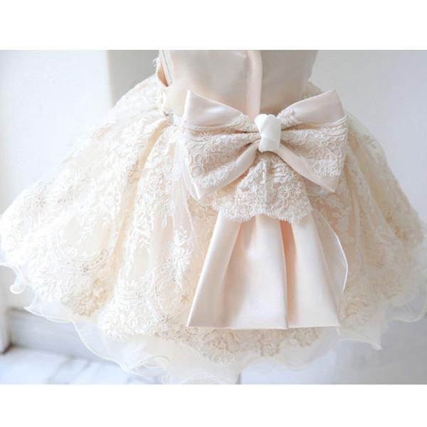 Cute Girl Princess Puffy Dress