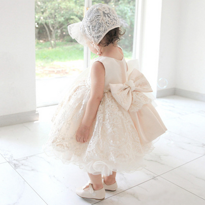 Cute Girl Princess Puffy Dress