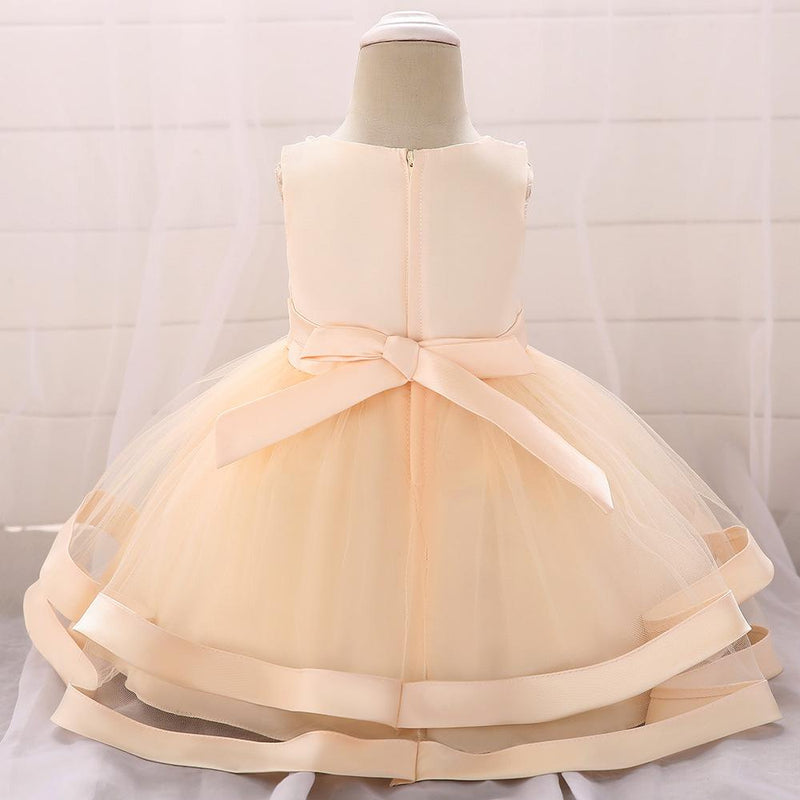 Girls Cozy Embroidery Princess Dress
