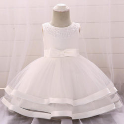 Girls Cozy Embroidery Princess Dress