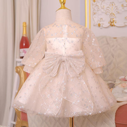 Elegant Cute Sequins Embroidery  Princess Dress