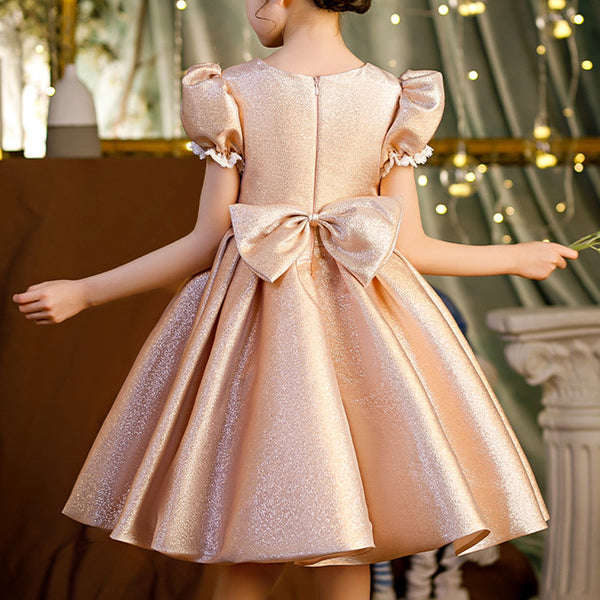 Vintage Baby Girl Princess Puffy Party Dress